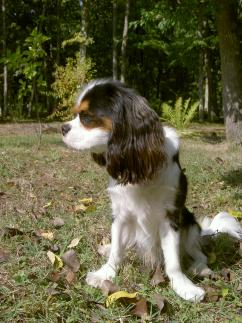 photo utilisateur